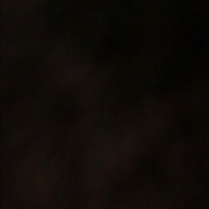 Meet your Posher, Ernesto